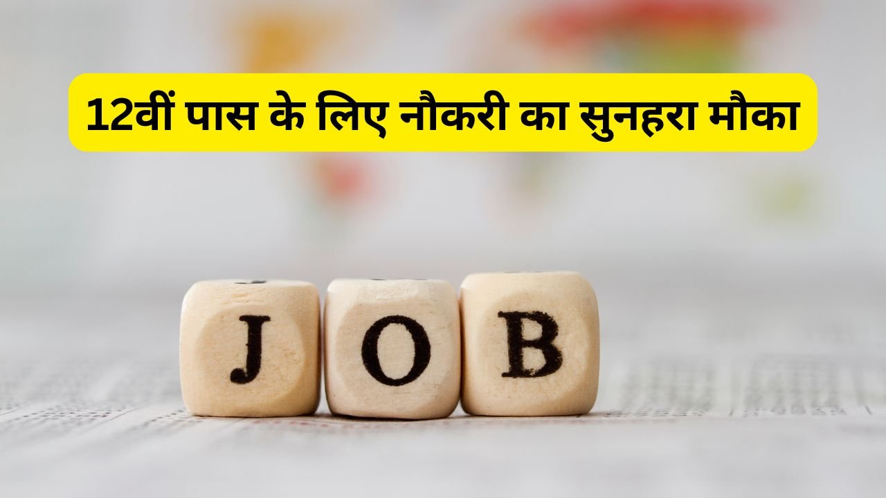 12वीं पास के लिए नौकरी का सुनहरा मौका: सरकारी और प्राइवेट सेक्टर में भर्तियाँ